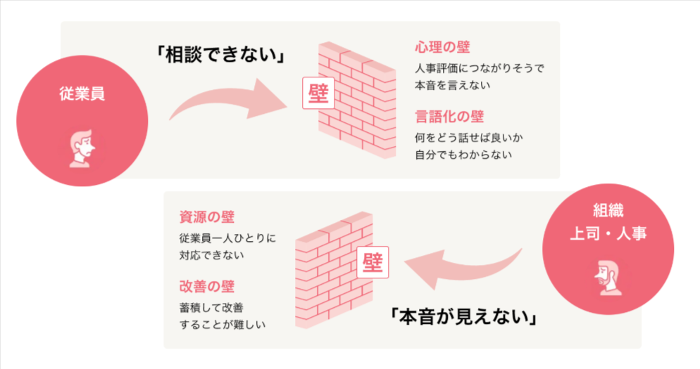 Kakedasインタビュー